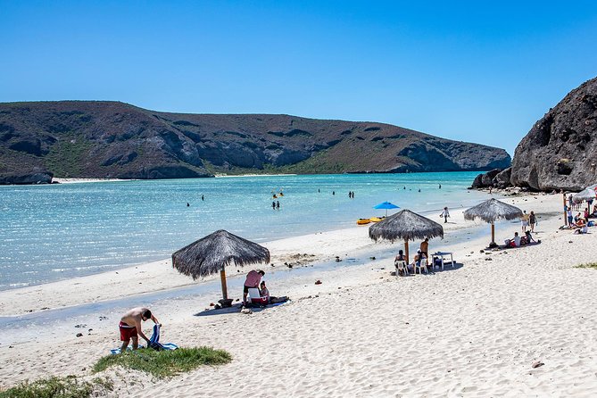 Day Trip to La Paz & Balandra Beach from Cabo San Lucas - Tropic of Cancer and the road through southern Baja