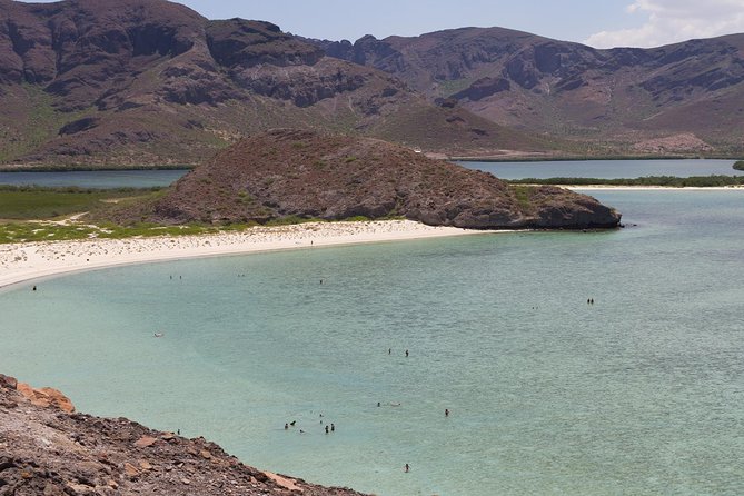 Day Trip to La Paz & Balandra Beach from Cabo San Lucas - What the guide can add to a very long day