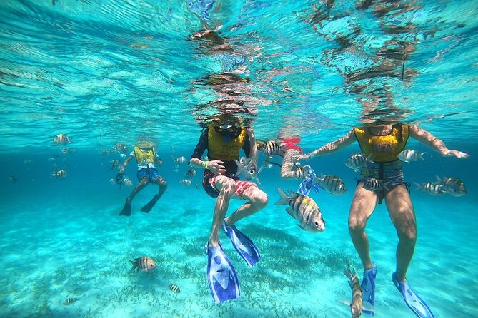 Deluxe Catamaran to Isla Mujeres with Open Bar from Cancun - What the $38.90 price really buys