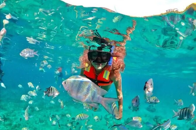 Deluxe Catamaran to Isla Mujeres with Open Bar from Cancun - Who should book this experience