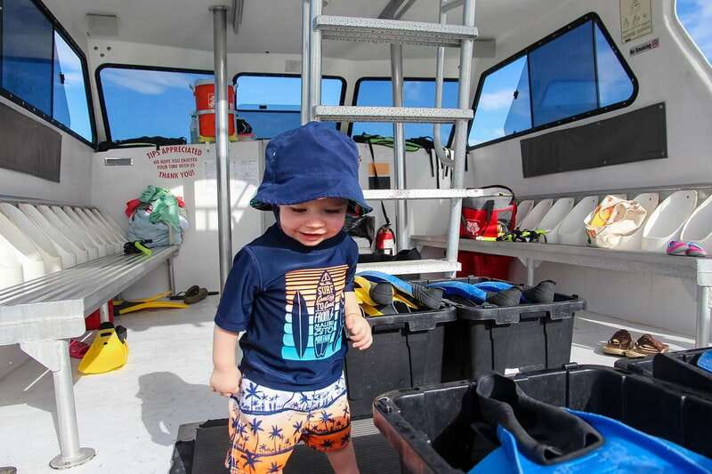 Destin: Dolphin Watching Cruise - Should you book Destin Dolphin Cruise?