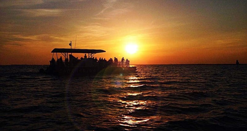 Destin: Dolphin Watching Cruise - Searching the emerald coast for dolphins