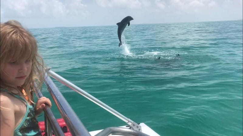 Destin: Dolphin Watching Cruise - What the crew adds to the experience