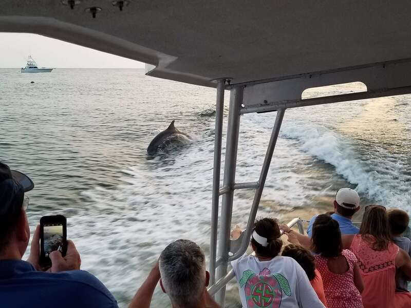 Destin: Dolphin Watching Cruise - Who will enjoy this cruise most?
