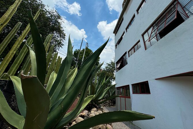 Diego Rivera Frida Kahlo Studio House Tour - What the Guide Adds to the Visit