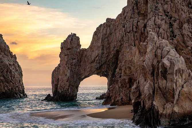 Dinner Cruise Tour in Cabo San Lucas with Tequila Tasting - Dinner and the open bar