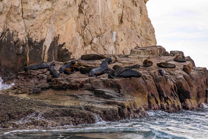 Dinner Cruise Tour in Cabo San Lucas with Tequila Tasting - Is $135 a fair price?