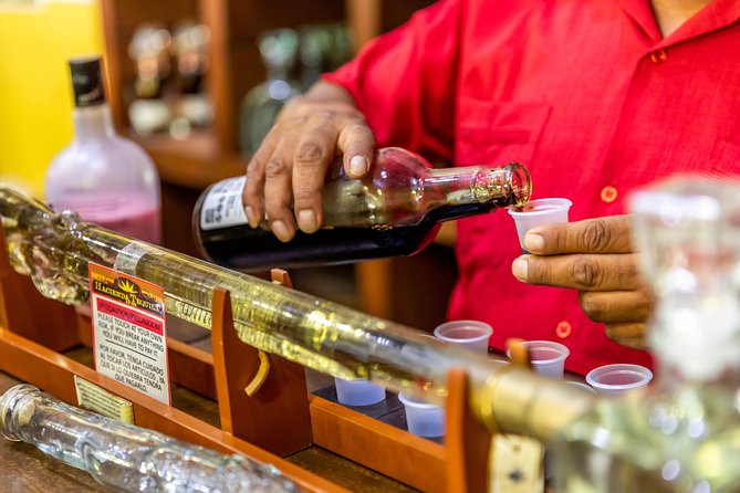 Dinner Cruise Tour in Cabo San Lucas with Tequila Tasting - Who should book this Cabo cruise?