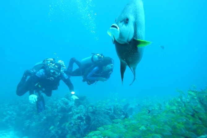 Discover Scuba - Visiting the National Reef Park of Puerto Morelos