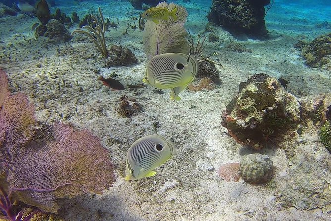 Discover Scuba Diving - The beach lesson at Tikila Beach