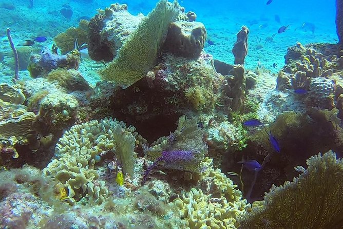 Discover Scuba Diving - How long are you really underwater?