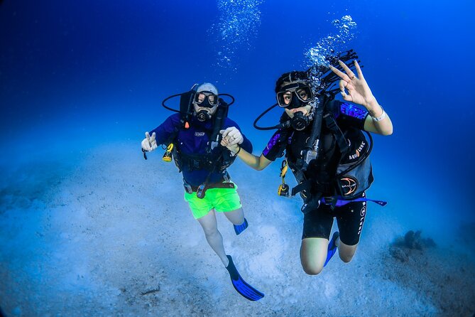 Discover Scuba Diving & Beach Club with Transportation In Riviera Maya - A gentle first step into scuba