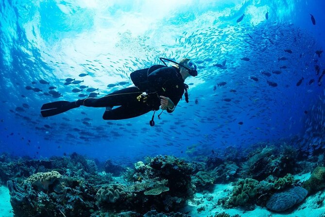 Discover Scuba Diving & Beach Club with Transportation In Riviera Maya - Practicing in shallow reef water