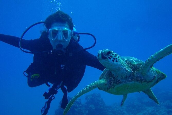 Discover Scuba Diving & Beach Club with Transportation In Riviera Maya - Seeing the Mexican Caribbean at Maroma Beach