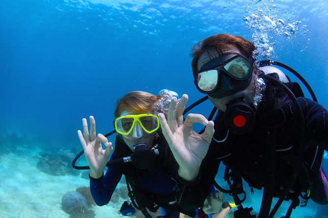 Discover Scuba Diving & Beach Club with Transportation In Riviera Maya - Learning the equipment before entering deeper water