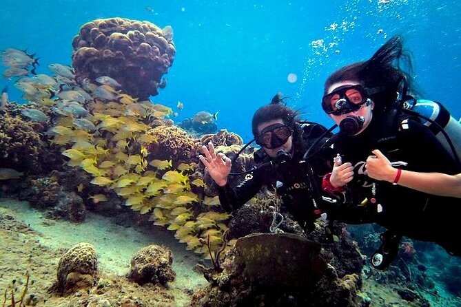 Discover Scuba Diving in Cozumel Paradise Reef - The 30-minute boat break gives you time to reset