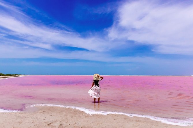 Discover the FABULOUS PINK WATERS in the Caribean - Río Lagartos by boat: birds, mangroves, and crocodiles