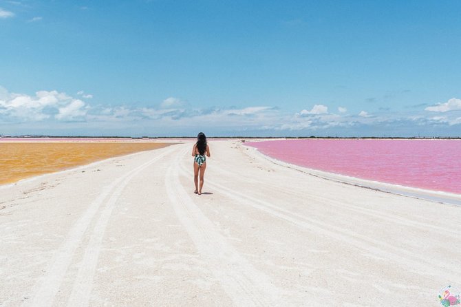 Discover the FABULOUS PINK WATERS in the Caribean - Lunch in a fishing village