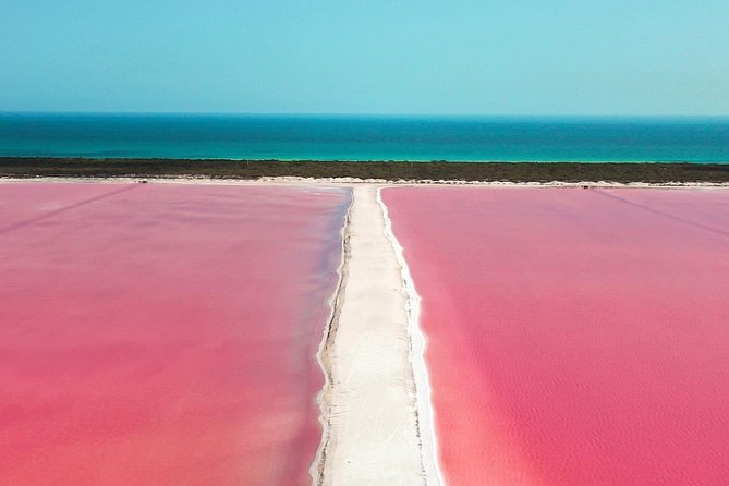 Discover the FABULOUS PINK WATERS in the Caribean - The crocodile farm deserves a careful look