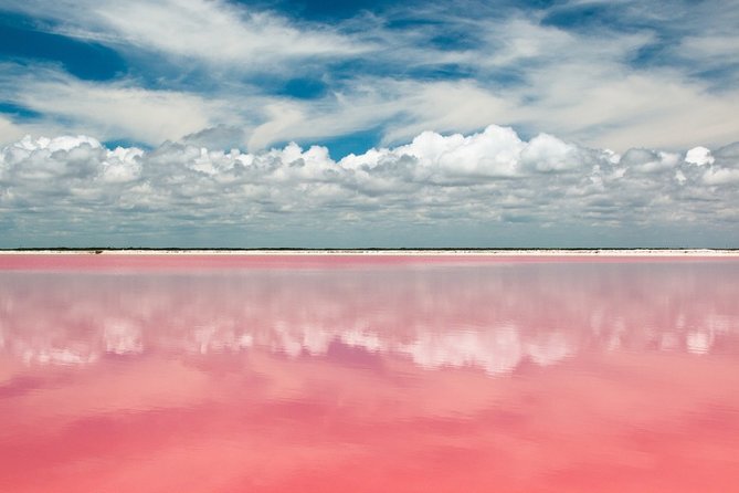 Discover the FABULOUS PINK WATERS in the Caribean - The salt ponds and the best photo opportunities