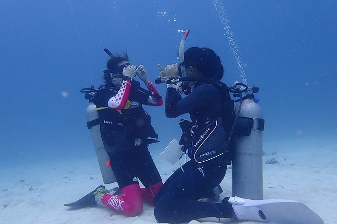 Discovery Scuba Dive. - Shallow-water practice before the boat