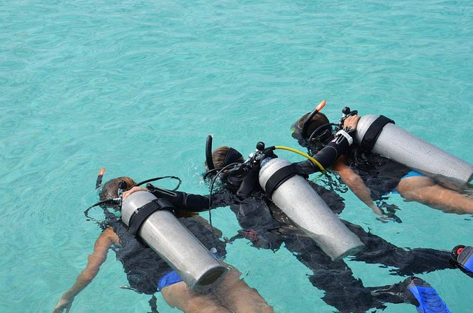 Discovery Scuba Dive. - What the reef portion feels like