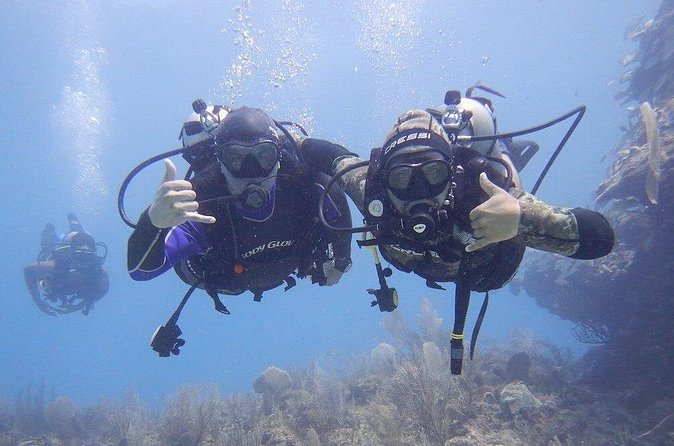 Discovery Scuba Dive. - Price, group size, and overall value