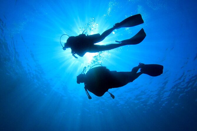 Discovery Scuba Dive. - The short classroom lesson and equipment check