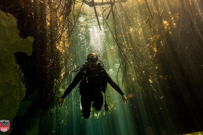 Discovery Scuba Diving !! - Why Puerto Morelos works for a first scuba session