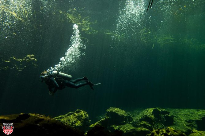 Discovery Scuba Diving !! - Why the safety policy deserves attention