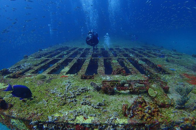 Diving in Cancun for Certified Divers | 2 Dives | All Inclusive - Who will enjoy this Cancun scuba outing