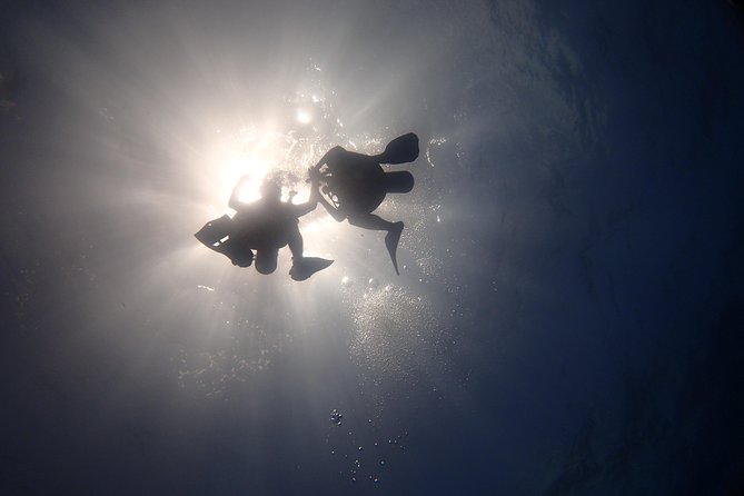 Diving in the Mexican Caribbean for Beginners | 2 Tanks 2 Dives | All Inclusive - Is $190.69 a fair price?