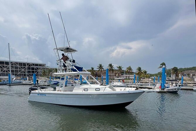 Dolphin & Whale Watching with Marine Biologists - Huatulco National Park and the open-water search