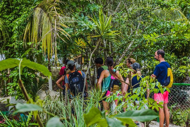 E-Bike Adventure in Cozumel - West Side Ride N' Snorkel - How much value do you get for $69?
