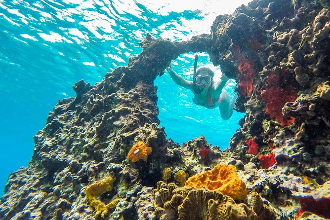 E-bike West Coast Snorkeling Tour - Cenote Aerolito de Paraiso: an unusual first stop