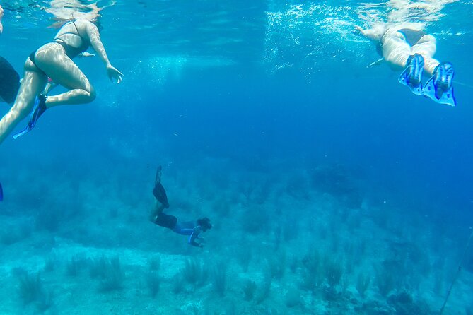 E-bike West Coast Snorkeling Tour - Practical details that can make or break the morning