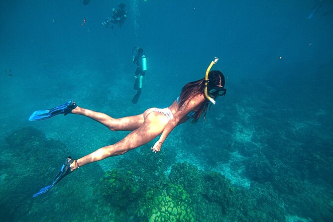 El Cielo Cozumel Snorkel Private Boat + Food + Drinks + Beach - El Cielo: starfish in clear, shallow water