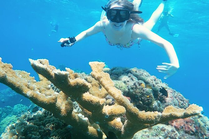 El Cielo Cozumel Snorkel Private Boat + Food + Drinks + Beach - Getting to San Francisco Beach Club