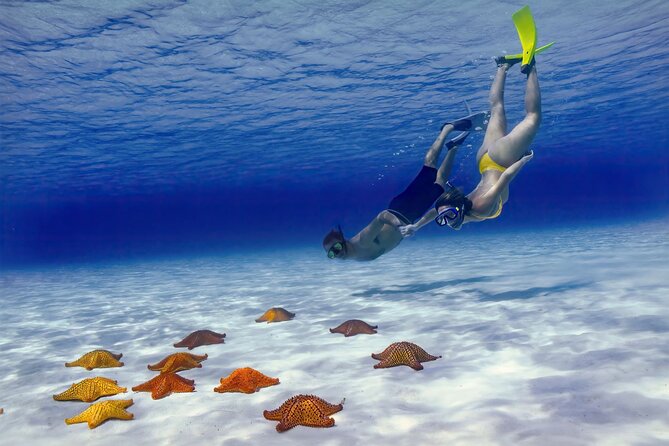 El Cielo Cozumel Snorkel Share Boat + Reefs + Food Drinks + Beach - Palancar Reef: your first look below the surface
