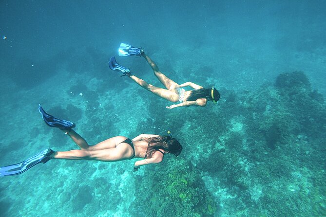 El Cielo Cozumel Snorkel Share Boat + Reefs + Food Drinks + Beach - El Cielo: starfish in shallow, clear water