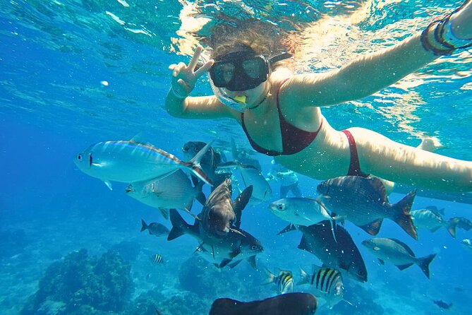 El Cielo Cozumel Snorkel Share Boat + Reefs + Food Drinks + Beach - Fresh ceviche and guacamole on the water