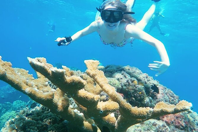 El Cielo Cozumel Snorkel Share Boat + Reefs + Food Drinks + Beach - The crew and the small-boat advantage