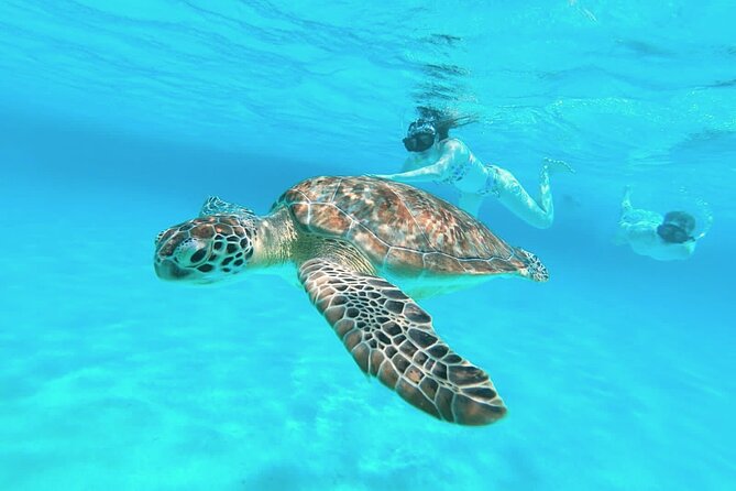 El Cielo Cozumel Snorkel Share Boat + Reefs + Food Drinks + Beach - San Francisco Beach: useful facilities, extra-cost comforts