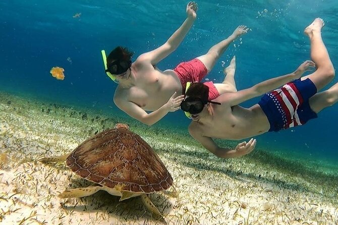 El Cielo Cozumel Snorkel tour by Catamaran - Key points at a glance