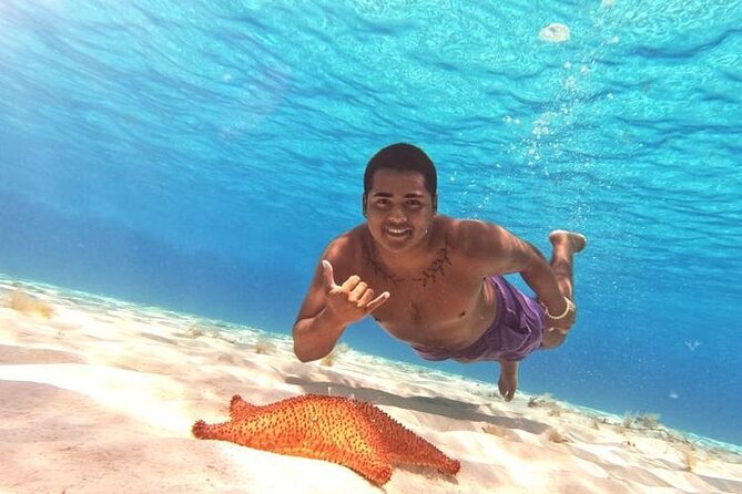 El Cielo Cozumel Snorkel tour by Catamaran - Why this Cozumel catamaran trip works well