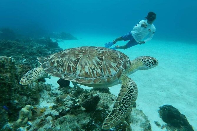 El Cielo Cozumel Snorkel tour by Catamaran - Life on the catamaran between stops