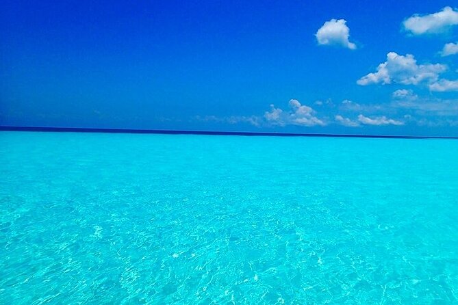 El Cielo Cozumel Snorkeling Tour - All-Inclusive - The crew can make or break the day