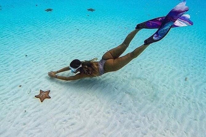El Cielo Cozumel Snorkeling Tour - All-Inclusive - Boat comfort, safety equipment, and access