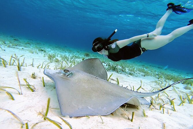 El Cielo Cozumel Snorkeling tour by Private Boat - Four hours on Cozumel’s Caribbean side