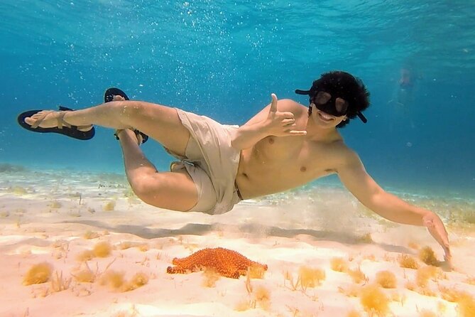 El Cielo Cozumel Snorkeling tour by Private Boat - Underwater photographs: useful, but optional